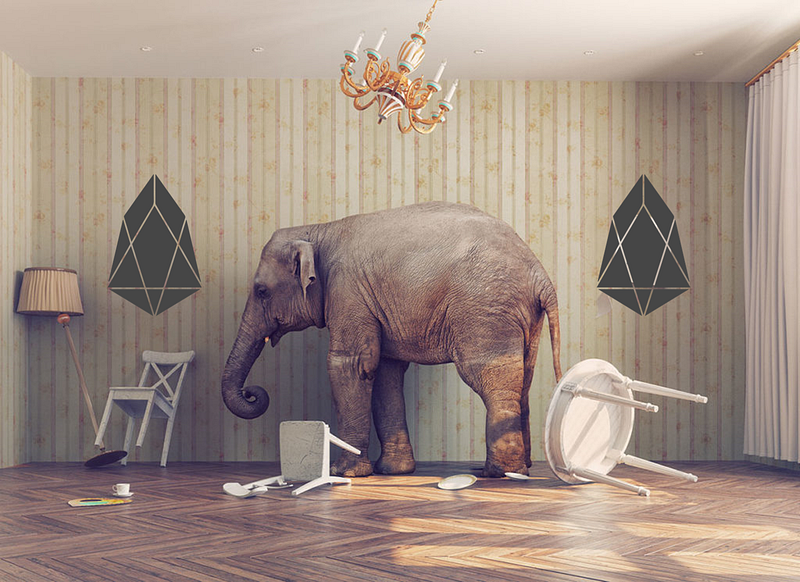 The Elephants in the Room