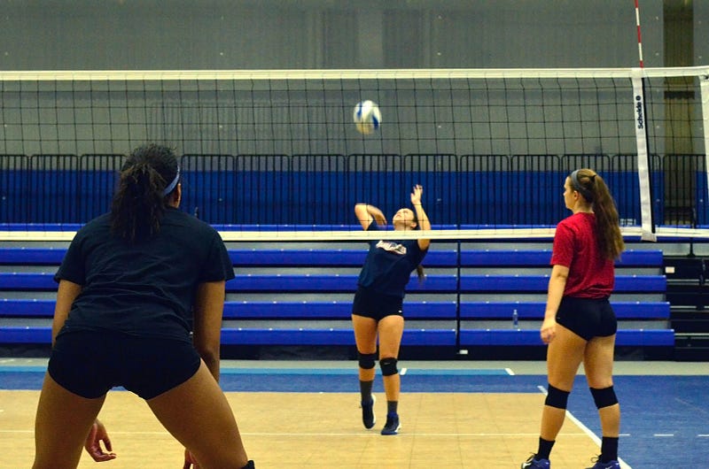 New field hockey and volleyball coaches look to make immediate impact this fall