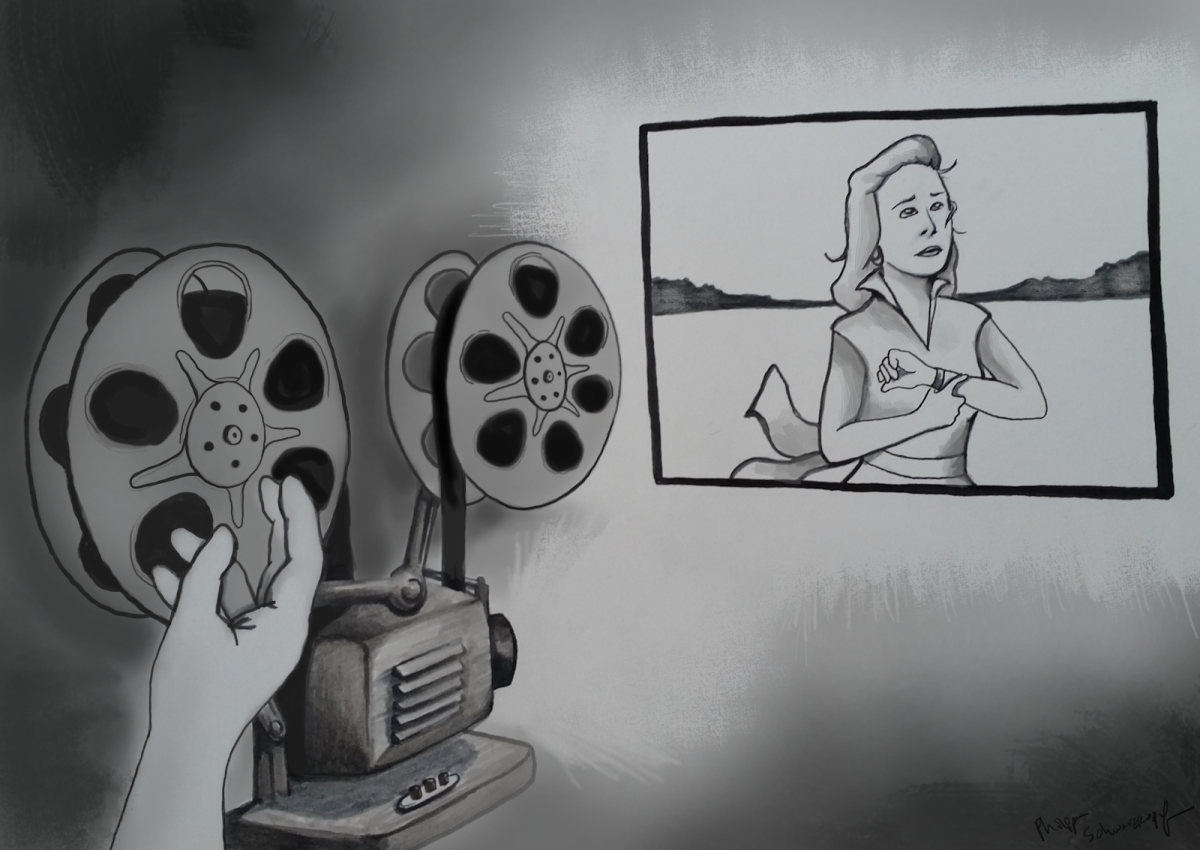 The political landscape of Egyptian cinema