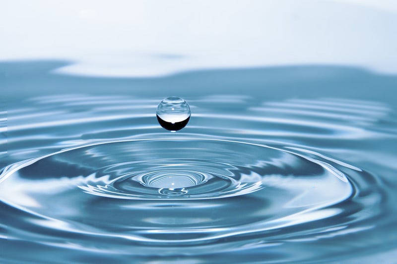 Campus Activities Board and First Year Experience host Water Fest