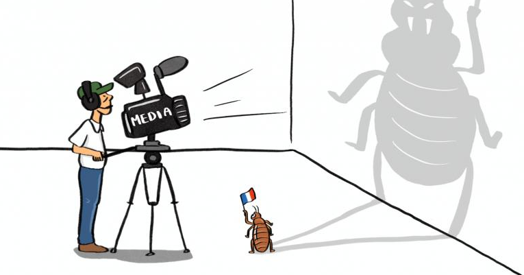 Humans and bedbugs and the French: the tale of an unrequited love story