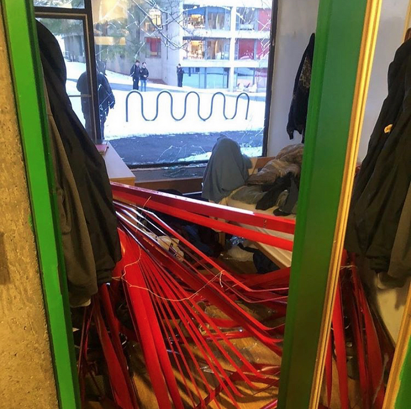 Deer smashes into window of Babbitt Hall suite, causing major damage