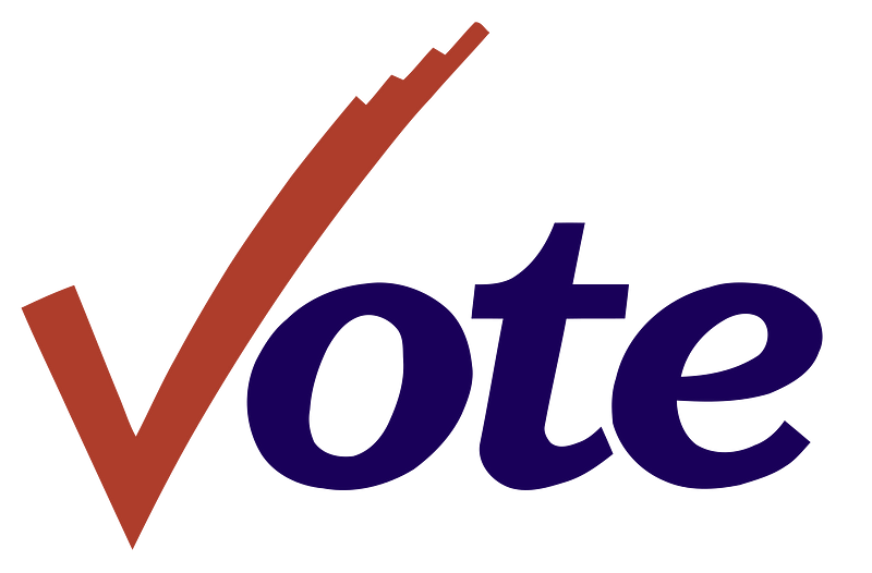 Students share motivations for voting in midterm elections