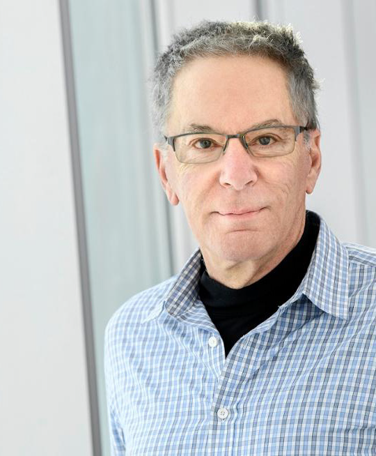 Professors debate the German polycrisis along domestic and international lines