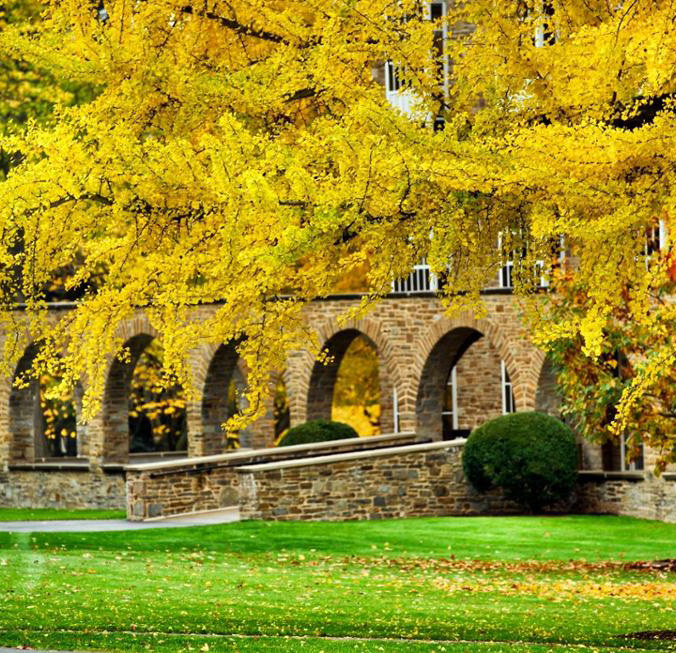 Alumni thrive in publishing careers