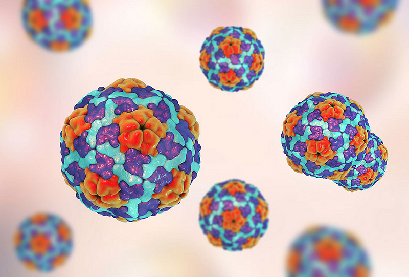 Community email confirms isolated case of hepatitis A on campus