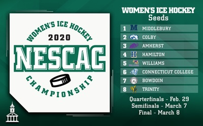 Hamilton Ice Hockey Season Recaps