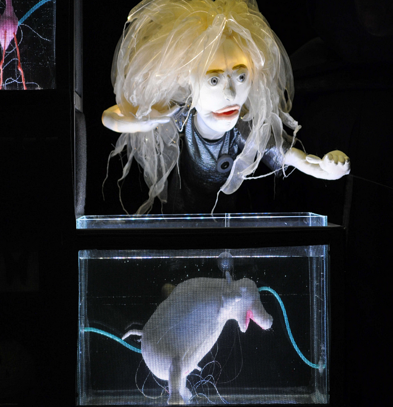 The Immortal Jellyfish Girl&#8217;s ecological tone