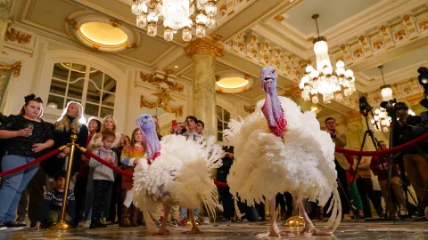 If you are a turkey, the presidential pardon is the secret to a happy life