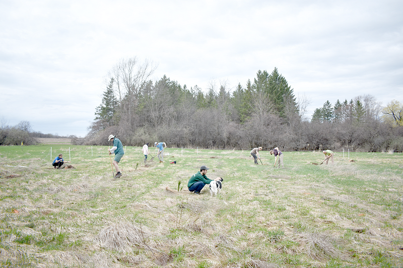 7 Days of Green: Hamilton Sustainability Coordinators host first-ever Green Week