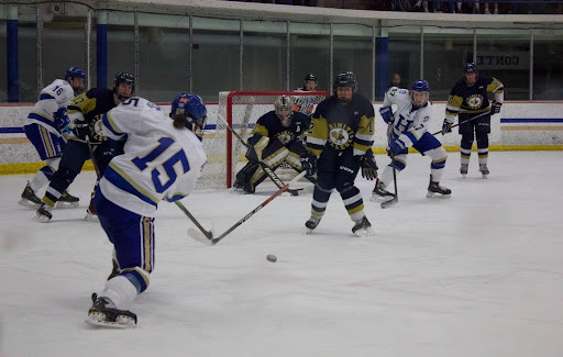 Women&#8217;s ice hockey wins NESCAC quarterfinal